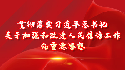 贯彻落实习近平总书记关于加强和改进人民信访工作的重要思想